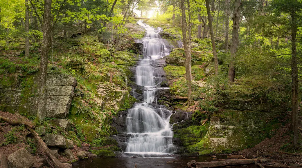 Buttermilk Falls cascading down mossy rock ledges through green forest in Ludlow, Vermont
